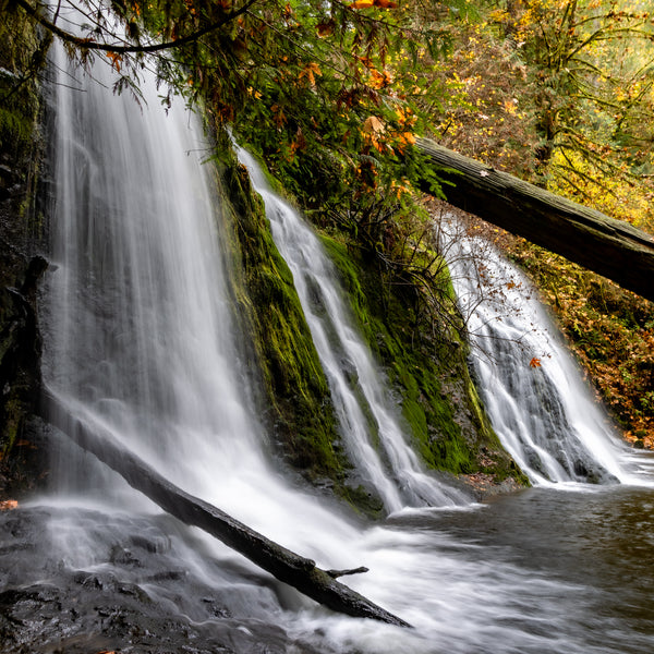 Top 5 Photography Tips for Hiking in the Pacific Northwest