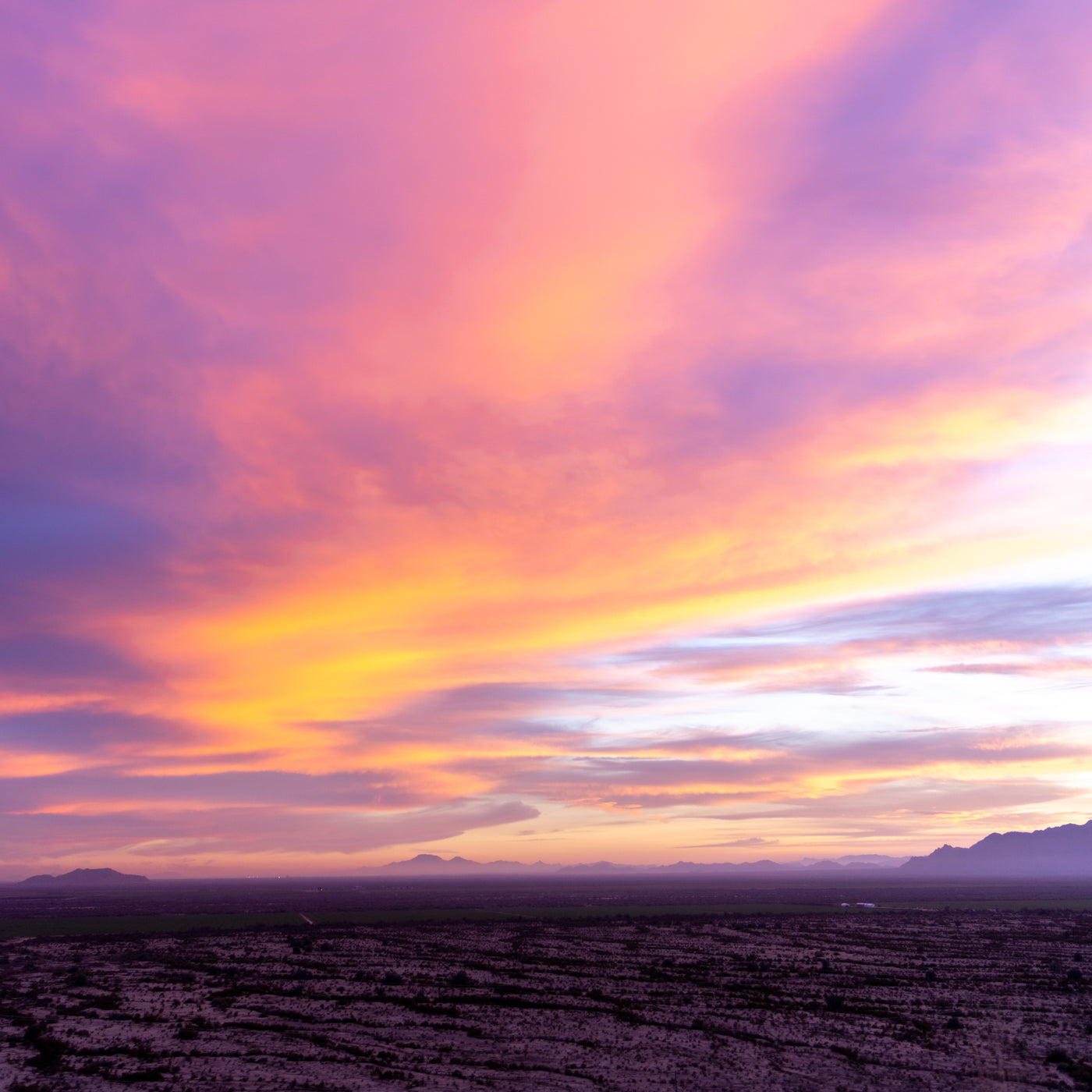 Pink sunset in the desert