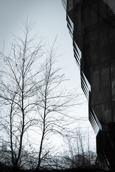 Side of a modern black building and a tree